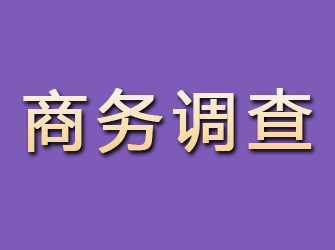 玛纳斯商务调查